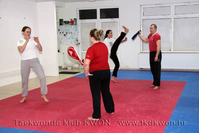 taekwondo kwon training